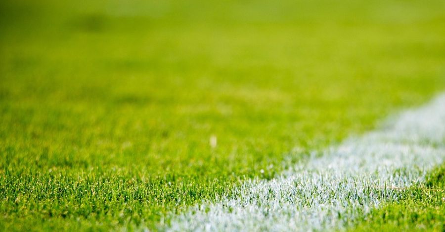 Pontszerzés a Karsai Alba Kft. ellen